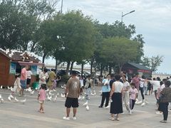 -天津妈祖文化园