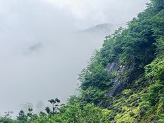 -东白山