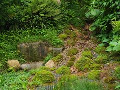 -云溪植物园