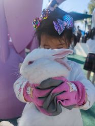 点击看大图 -季高兔窝窝亲子园(上海薰衣草公园店)