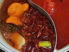 -青瓷火锅料理(西单大悦城店)