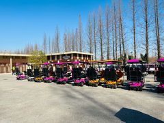 -黄海国家森林公园