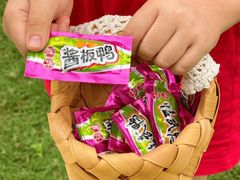 -郴州特产舜华临武鸭(郴州西站店)