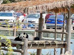 -西霞口神雕山野生动物世界