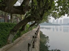 -筼筜书院