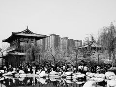 -西安青龙寺遗址景区