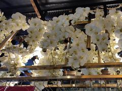 -五岳宫·私房菜