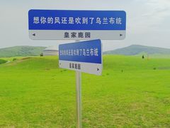 -乌兰布统草原