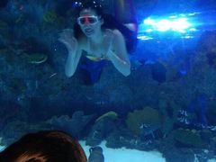 -芜湖新华联大白鲸海洋公园