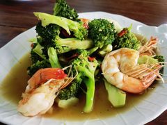 -Kat's Kitchen