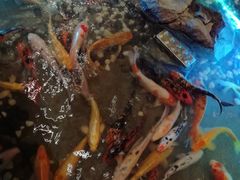 -苏浙徽·江南荟·本味融合菜(相城方圆里店)
