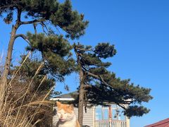 -庐山三石饭店·山里土菜(庐山店)