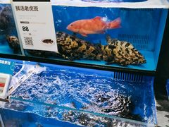 水产区-盒马鲜生(曜一城店)