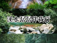 -洋湖国家湿地公园