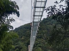 -藏龙百瀑风景区