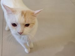 -平行世界·猫咖(首经贸店)