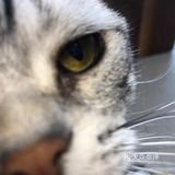 臭脸大哥/臭脸小妹，其实巨粘人