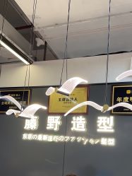 点击看大图 -藤野造型