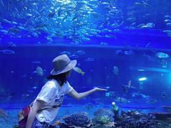 -华夏文旅海洋公园