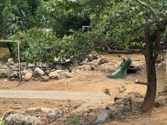-丽泽山庄·生态怀柔菜·虹鳟鱼(红螺寺店)