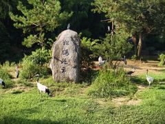 -杭州野生动物世界