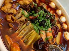 -眉州东坡(民族园店)