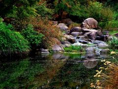 -上海共青森林公园