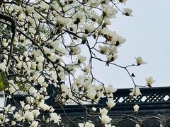 -杭州黄龙洞