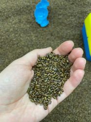 -孩子王童乐园(天津远洋乐堤港店)