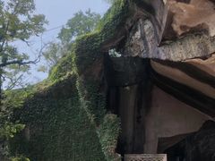 -蛇蟠岛