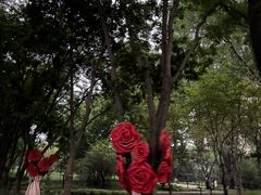 -仁和公园(顺义区)