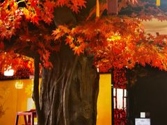 -活鱼馆(宜兴埠店)
