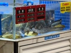 -皮记海鲜1995(寮步店)