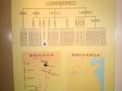 南海子麋鹿苑&nbsp;(3)-北京麋鹿生态实验中心