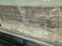 -赵州桥景区