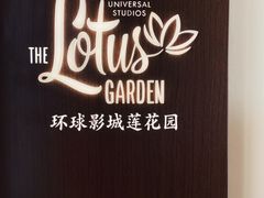 -环球影城莲花园 The Lotus Garden Universal Studios 