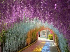 -渭南桃花源民俗文化园