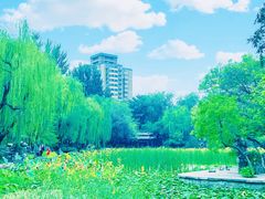 -莲湖公园