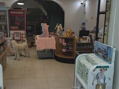 -翊宠yipet猫狗购宠庄园犬舍•猫舍