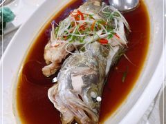 -老人和饭店(打浦路店)