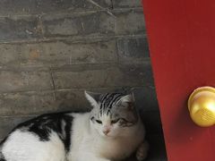 -西安大兴善寺