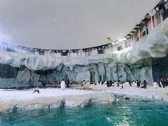 -珠海长隆海洋王国
