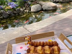 -罗红摄影艺术馆