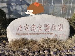 -南宫五洲植物乐园