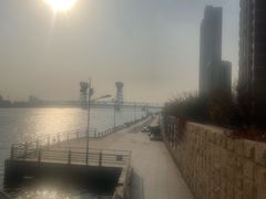 -海河外滩公园