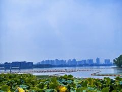 -金鸡湖桃花岛