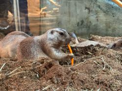 -Zoolung Zoolung动物主题公园(海信广场店)