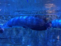 -成都浩海立方海洋公园