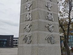 -大丰图书馆