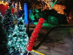 -锦江乐园舞狸花花游园会(夜场专享)